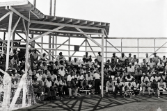 CC-Field-Stands