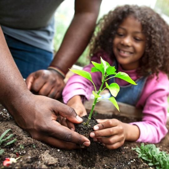 Community Garden Initiative